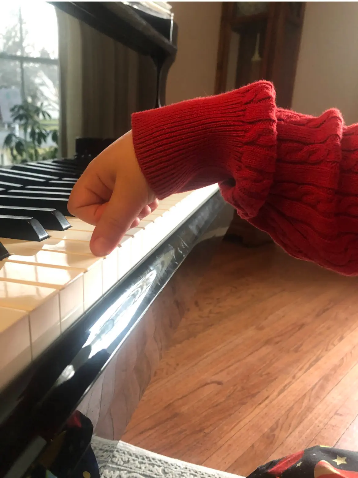 suzuki hand position